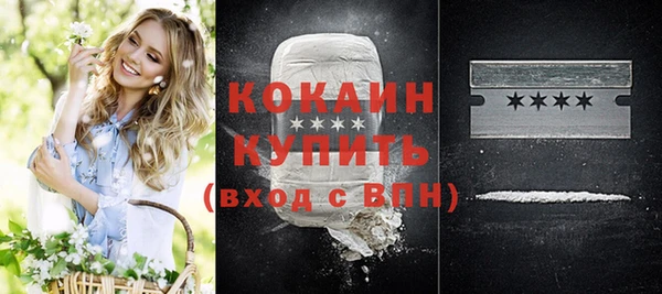 кокс Богородицк