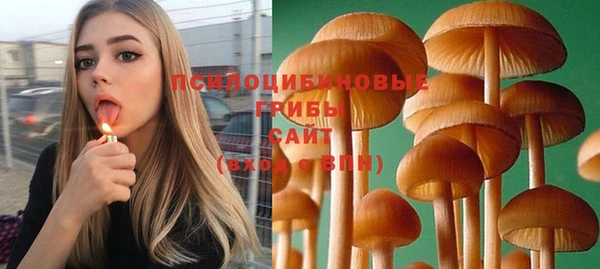 spice Беломорск