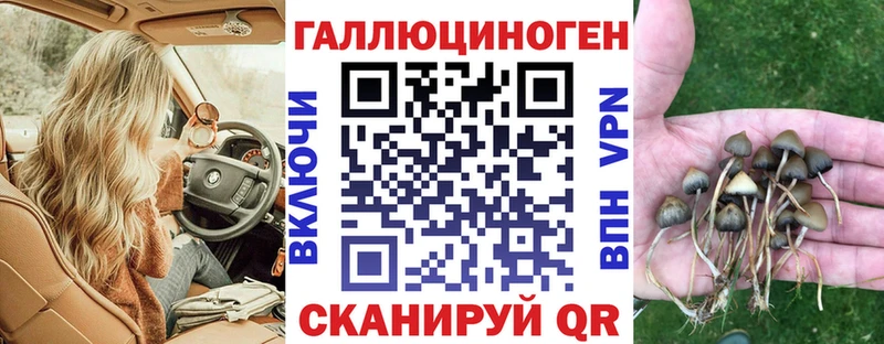 Галлюциногенные грибы Magic Shrooms  продажа наркотиков  Малая Вишера 